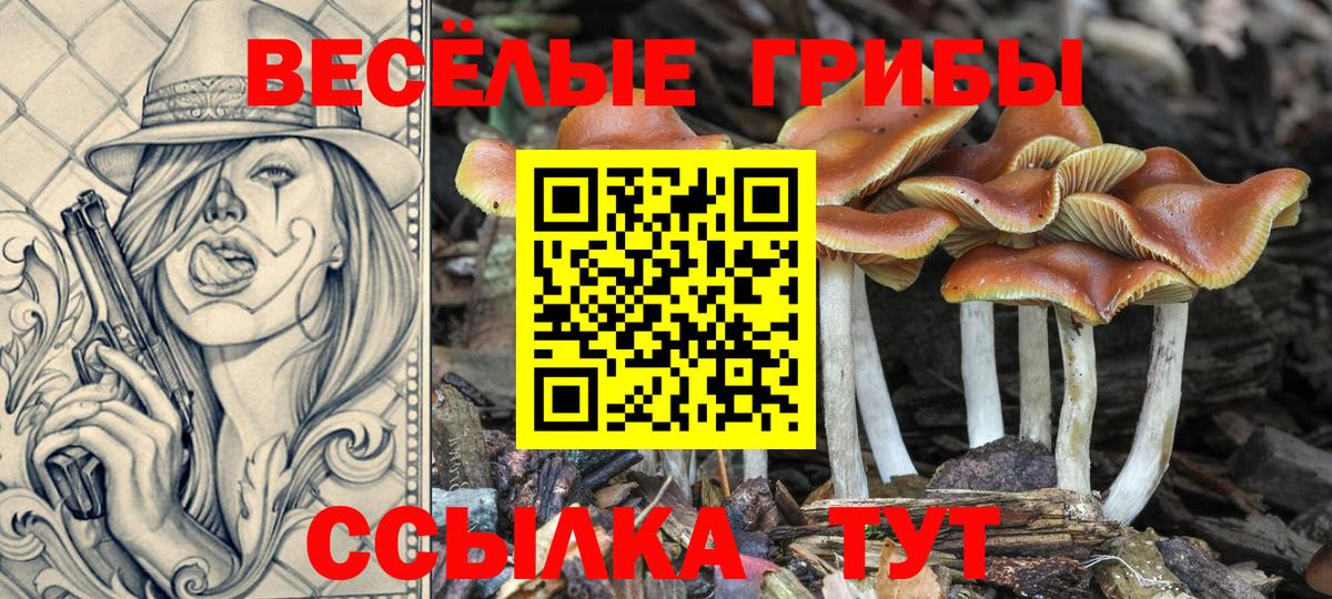 дарнет шоп  Вход с VPN  Отрадный  Галлюциногенные грибы MAGIC MUSHROOMS 